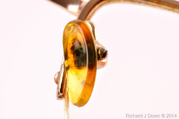 DSC_5616_254 DSC_5616_254