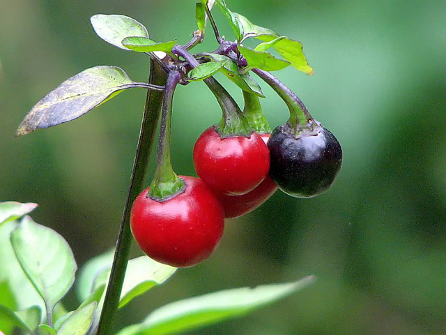 [image%255B73%255D.png]