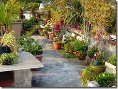 Casa-Cristina-Roof-Garden