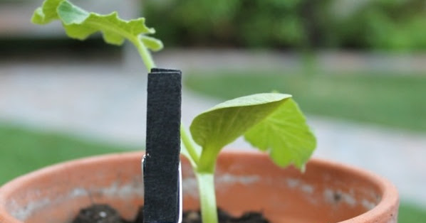 Student feedback sentence starters image