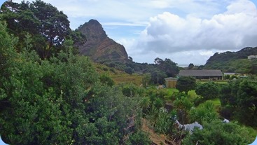 Views of Piha from the deck. Photo courtesy of Dennis Lyons.