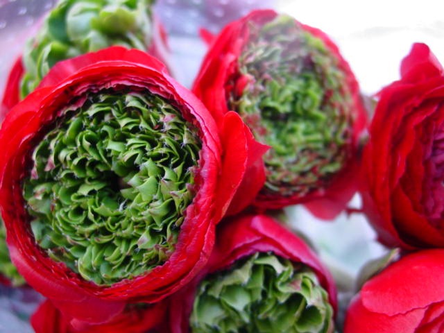 [9-5-11-002-stevens-and-sons-wholesal.jpg]