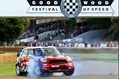 MINI-Countryman-WRC-45 MINI-Countryman-WRC-45