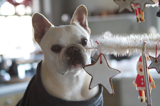 Franny, it's enticing because it's an edible gingerbread cookie!  How appropriate for the kitchen!