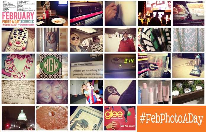 February Photo A Day Collage