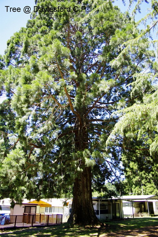 [_IGP43444.jpg]