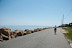 There are many diverse sights to enjoy from your bicycle- beaches, farms, markets, galleries, the list goes on.