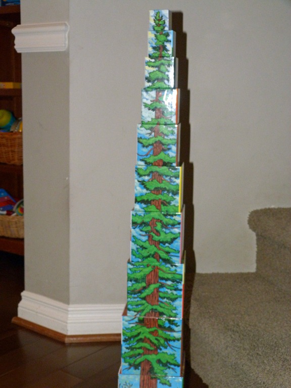 [Tallest%2520Tree%2520Stacking%2520Tower%25201%255B5%255D.jpg]