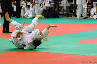 _MG_9290.jpg