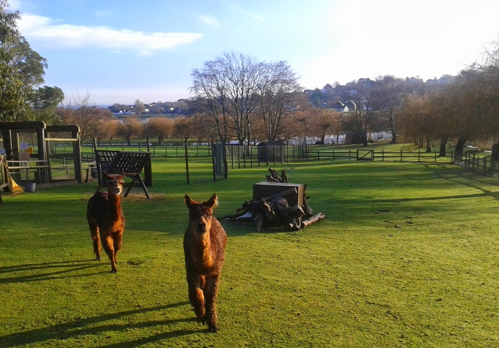 [20131226_093120-001%255B7%255D.jpg]