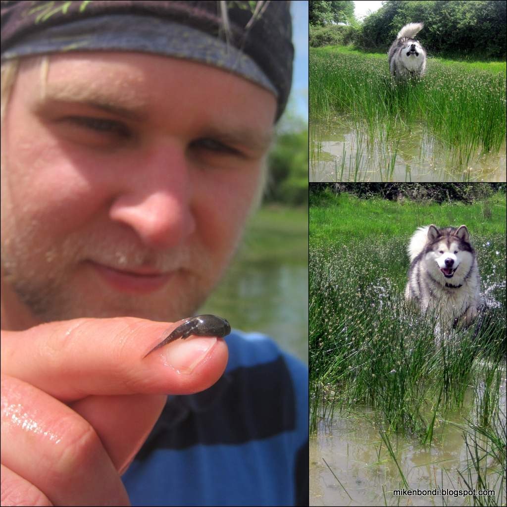 [2012-05-08%2520pond%255B4%255D.jpg]