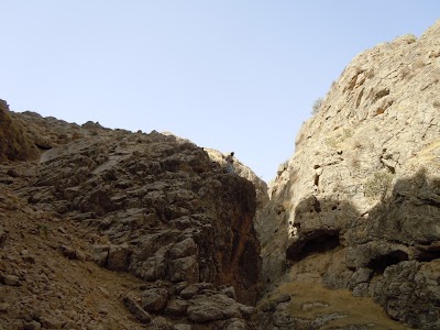 DSCN3953.jpg