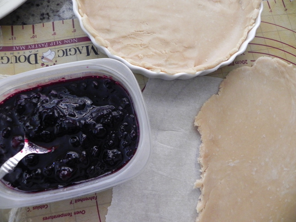 [DSCN0046%255B4%255D.jpg&description=Blueberry Limoncello Pie with Sourdough Crust')]