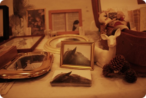 IMG_8757 IMG_8757