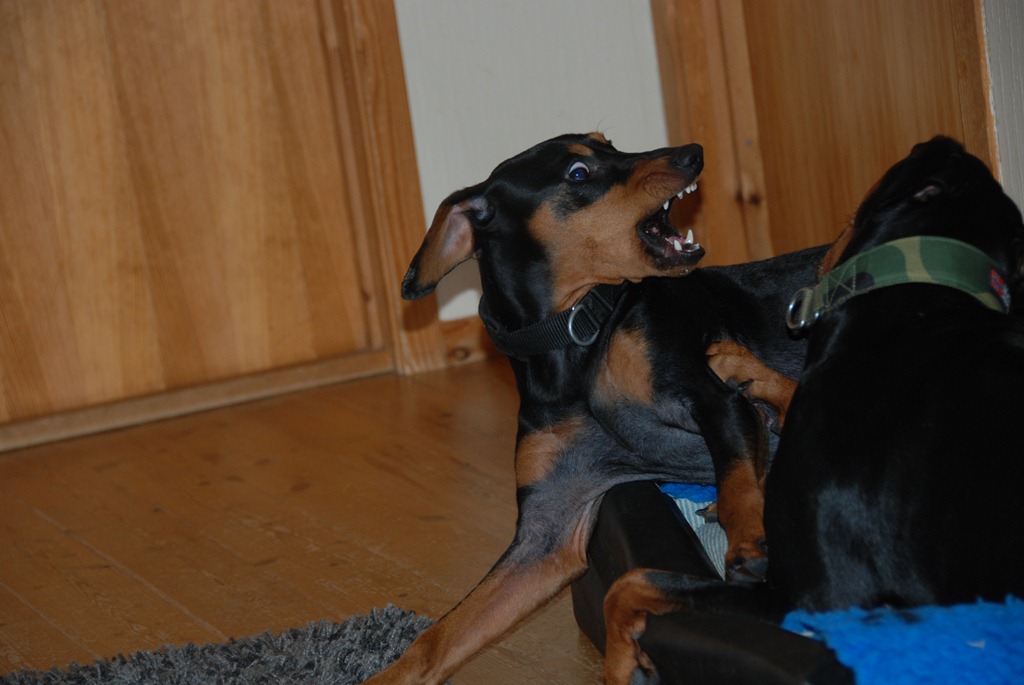 [DSC_0715%255B4%255D.jpg]