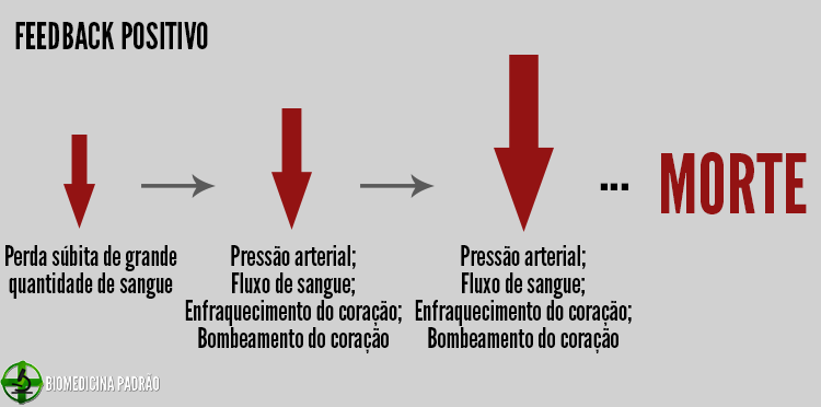 Feedback positivo Bombeamento do Coração