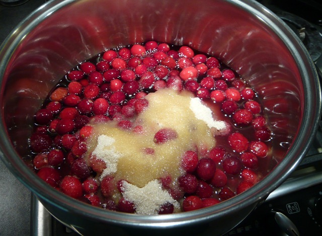 [cranberrysauce23.jpg]