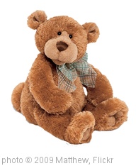 'teddy bear 2' photo (c) 2009, Matthew - license: http://creativecommons.org/licenses/by/2.0/