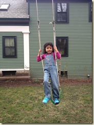 IMG_0875 IMG_0875