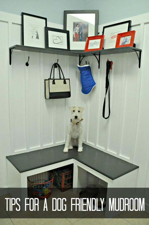 Tips for a Dog Friendly Mudroom