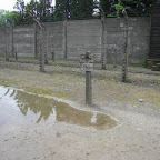 256-Poland - Auschwitch-Irony in a jail.JPG