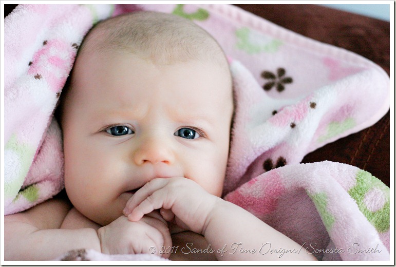 IMG_1680web