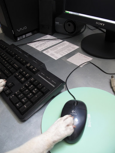 Sharkey, you click the SCAN option on the computer screen.