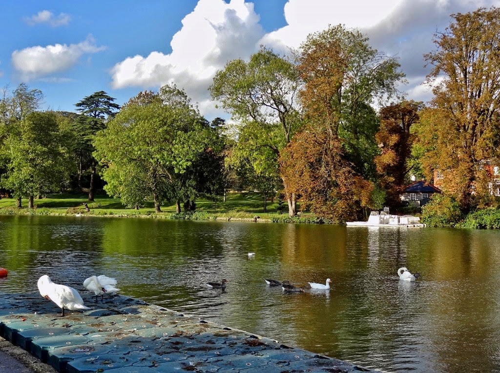 [DSC08797%2520%25281300x971%2529%255B5%255D.jpg]