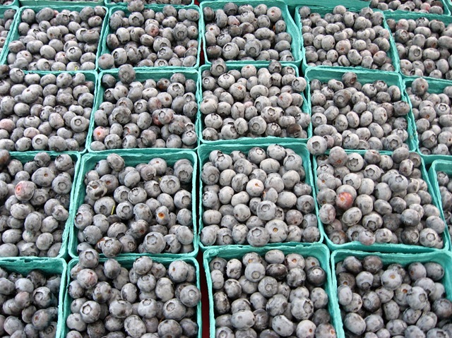 [blueberries%255B4%255D.jpg]