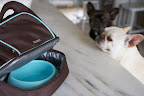 In the zippered bottom compartment, we packed the Silicone Travel Bowl.