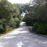 Driving Down A1A