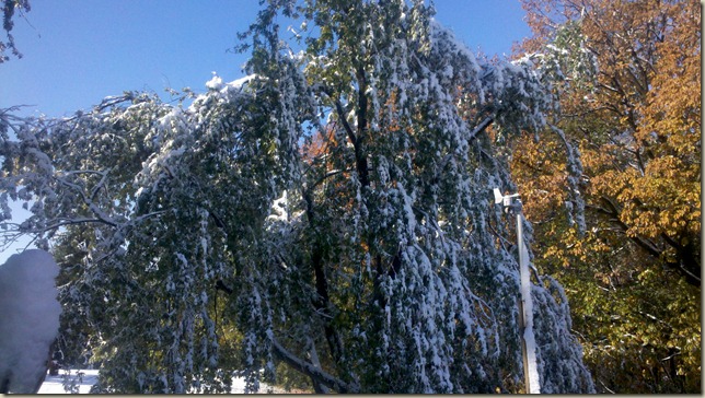 2011-10-30_10-19-05_395