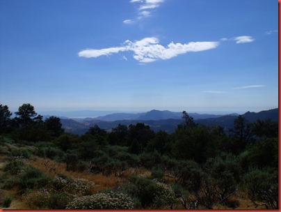 pics 010