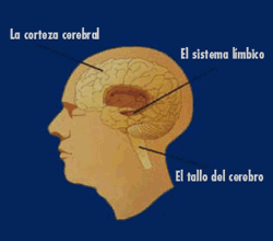 [drogas%25201%255B4%255D.gif]