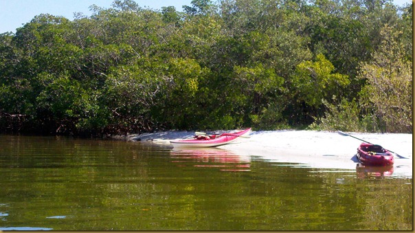 bunche beach