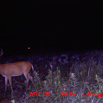 MDGC0026.JPG