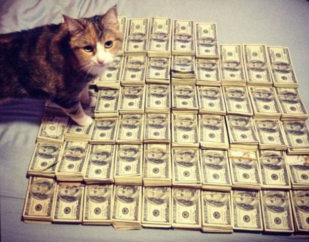 [rich-wealthy-cats-14%255B2%255D.jpg]