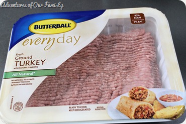 easy casserole ground butterball turkey
