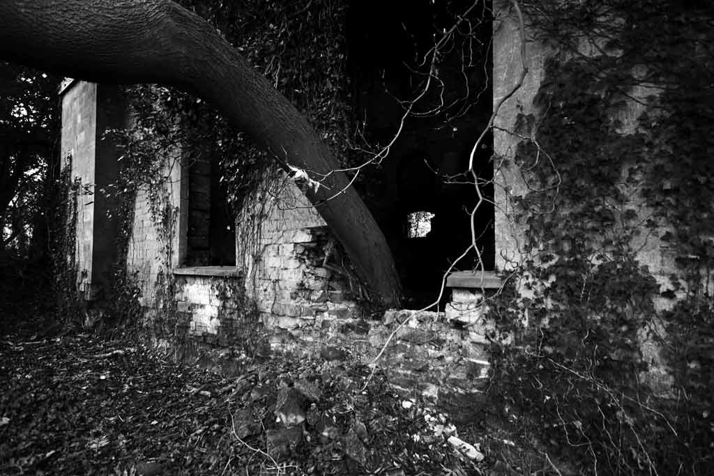[Nettleham-Hall-24%255B3%255D.jpg]
