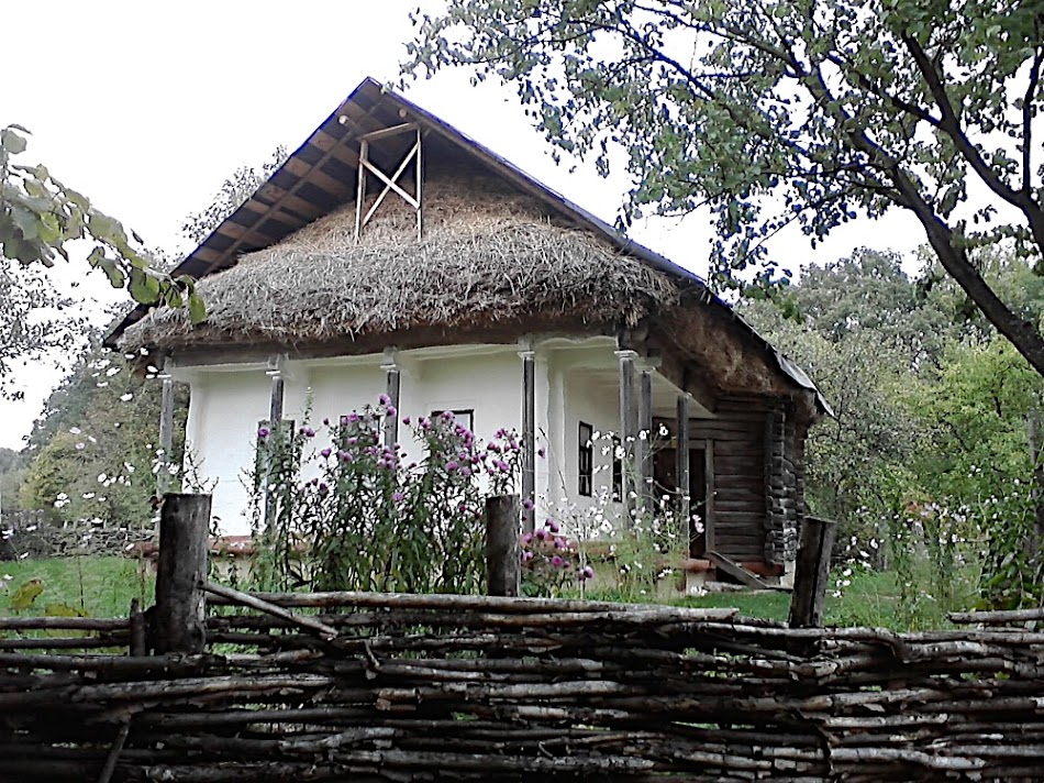 P091010_17.33.jpg