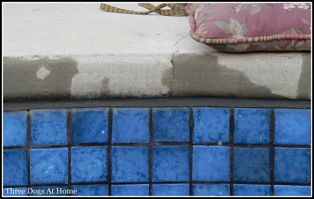 [pool%2520fix8.jpg]