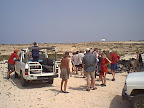 People on a safari