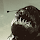 Troglodyte