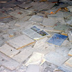 IMGP6831.jpg