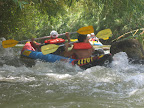 p1255403858(5).jpg