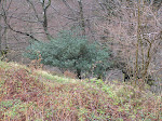P4072427.JPG