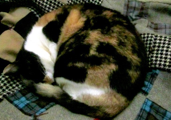 [IMG_2176-1%255B3%255D.jpg]