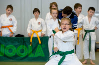 copyright by http://shotokanryu.de mit freundlicher Genehmigung von Hans Wiedl
