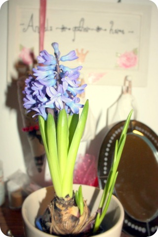 [IMG_0111%255B7%255D.jpg]