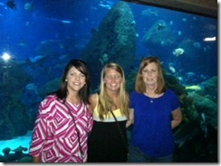 aquarium aquarium
